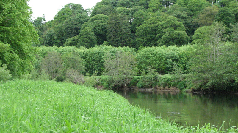 The banks of the River Suir<br />
