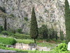 Sentry, Delphi