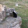 Cat in a church.